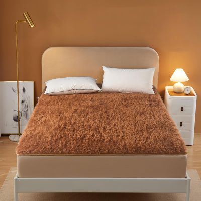 FAANAS Wool Mattress Topper, 100% Australian Wool Mattress Pad Ultra Soft Foldable Mattress Protecto for All Season(Twin, Brown)