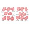 16Pcs Cartoon Farm Animals Biscuits Mold Cookie Stamps Set Fondant Biscuits Pastry Cookie Cutters For DIY Cake Baking Cookie Cutters For Baking Plastic view 3