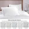 BNM Cotton 2 PC Bedspread Set, Home Bed Decor, Warm Bedding, 1 Oversized Bedspread, 1 Pillow Sham, Medium Weight Blanket, Scrolling Medallion, Matelasse Coverlet, Bedding Essentials, Twin, White view 4