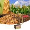 Hand Crank Corn Thresher for Farms and Families Quick Corn Cob Stripper Tool, Firm Clamping, Efficient Peeling with Iron Material for Long Life view 2