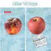 Wisesorb 80PCS 10 Gram Ethylene Gas Absorber Packet, Vegetable & Fruit Fresh Produce Protector, Food Freshness Extender, Fresh Fruit Preserver, Vegetable Saver view 4