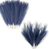 Acfruits Blue Pampas Grass Small and Large Fluffy 20Pcs 21.7'' with 6Pcs 27.6 Inch view 1