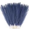 Acfruits Blue Pampas Grass Small and Large Fluffy 20Pcs 21.7'' with 6Pcs 27.6 Inch view 2