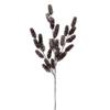 Vickerman 736807-26" Champagne Pinecone Spray (2 Pack) (RK238438) view 1