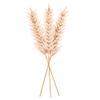 Vickerman 28" Artificial Light Brown Designer Sword Palm Stem 3/Bag. Features a Paper Based Palm. view 4