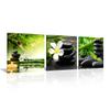 3 Panel Zen Canvas Wall Art Still Life SPA Stone Green Bamboo White Frangipani Flower Pictures Prints on Canvas for Home Office Kitchen Wall Decor 10x10inchx3 Framed view 1