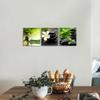 3 Panel Zen Canvas Wall Art Still Life SPA Stone Green Bamboo White Frangipani Flower Pictures Prints on Canvas for Home Office Kitchen Wall Decor 10x10inchx3 Framed view 2