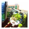 Chandelier Crystal Prisms Pendants K9 Clear Crystal Faceted Chandelier Ball 70mm Sphere Christmas Chandelier Crystal Prisms Pendants view 1