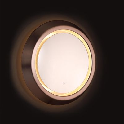 27.5 inch Round Wall-Mounted LED Mirror, Framed Mirror W/Lights for Bathroom Hotel, LED Bathroom Vanity Mirror, Aluminum Alloy, Champagne Gold Finish