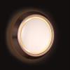 27.5 inch Round Wall-Mounted LED Mirror, Framed Mirror W/Lights for Bathroom Hotel, LED Bathroom Vanity Mirror, Aluminum Alloy, Champagne Gold Finish view 1