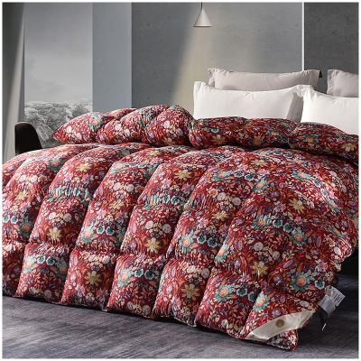 ZTGL Fluffy Lightweight Warm Duvet 95% Goose Down Fiber Comforter Queen Size Duvet Insert, Luxurious Skin-Friendly Soft Cotton Cover, All-Season Down Quilt King Comforter,T,200x230cm(2000g)