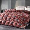 ZTGL Fluffy Lightweight Warm Duvet 95% Goose Down Fiber Comforter Queen Size Duvet Insert, Luxurious Skin-Friendly Soft Cotton Cover, All-Season Down Quilt King Comforter,T,200x230cm(2000g) view 1