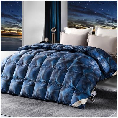 ZTGL Fluffy Lightweight Warm Duvet 95% Goose Down Fiber Comforter Queen Size Duvet Insert, Luxurious Skin-Friendly Soft Cotton Cover, All-Season Down Quilt King Comforter,C,200x230cm(2000g)
