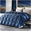 ZTGL Fluffy Lightweight Warm Duvet 95% Goose Down Fiber Comforter Queen Size Duvet Insert, Luxurious Skin-Friendly Soft Cotton Cover, All-Season Down Quilt King Comforter,C,200x230cm(2000g) view 1