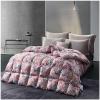 ZTGL Fluffy Lightweight Warm Duvet 95% Goose Down Fiber Comforter Queen Size Duvet Insert, Luxurious Skin-Friendly Soft Cotton Cover, All-Season Down Quilt King Comforter,S,200x230cm(2000g) view 1