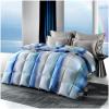 ZTGL Fluffy Lightweight Warm Duvet 95% Goose Down Fiber Comforter Queen Size Duvet Insert, Luxurious Skin-Friendly Soft Cotton Cover, All-Season Down Quilt King Comforter,B,200x230cm(2000g) view 1