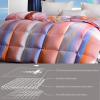 ZTGL Fluffy Lightweight Warm Duvet 95% Goose Down Fiber Comforter Queen Size Duvet Insert, Luxurious Skin-Friendly Soft Cotton Cover, All-Season Down Quilt King Comforter,B,200x230cm(2000g) view 2