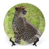 Kenya Cheetah Big Cat Africa on Plate for Home Office Wall Decor Decorative Plate with Display Stand Ceramic Ornament Wall Art Porcelain Keepsake Collectible Plate Wedding Holiday Party Favor 7" view 1