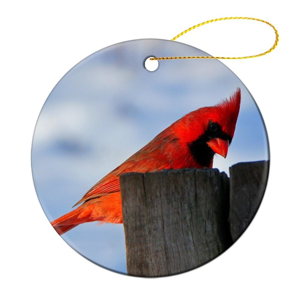 2023 Christmas Tree Ornaments Cardinal Bird Ceramic Keepsake Xmas Tree Decorations Winter Hanging Bauble Wedding Party Birthday Wedding Decor Gift for Boyfriend Girlfriend Wife Husband