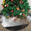 36" Plush Christmas Tree Skirt Cute cat Christmas Tree Mat Cover Xmas Tree Skirt for Xmas Holiday Party Christmas Decoration Ornaments Tassel Tree Skirt for Happy New Year view 2