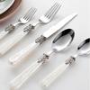 20 Piece Silverware Set Service for 4,Premium Stainless Steel Flatware Set Include Fork Knife Spoon Set Gift Package for Christmas and Thanksgiving&Halloween view 2