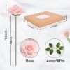 BLEUM CADE 36Pcs Artificial Flowers Fake Roses with Stems, Pink Boxed Foam Roses for DIY Bouquets Centerpieces Wedding Party Arrangement Bridal Shower Decor view 3