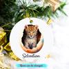 Baby Leopard Christmas Ornament for Kids Boys Girls Animals Lovers, Personalized Leopard Ornaments Gifts for Christmas 2026, Cute Leopard Ornament Xmas Tree, Customized Name Leopards Lover Ornament view 2