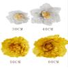 Flash Material Children Dance Props Holding China Square Stage Performance Peony Flower Kindergarten Dance Holding Flowers (70CM, Red) view 4