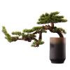 Simulation Potted Plants Bonsai Tree 24Inch Artificial Bonsai Welcoming Pine Tree, Simulation Potted Plant Decorative Bonsai with Ceramic Pots, Office Desktop Potted Decoration Fake Plant Greenery Dec view 1