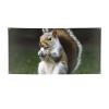 Squirrel print Party Banner Christmas Banner Birthday Bunting with Brass Grommets Party Decorations Backdrop for Christmas Wedding Winter New Year Home Decorations Party Supplies Small view 1