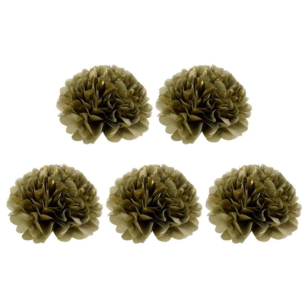 ECYC 5 Pcs 6 inch Tissue Pom Poms, Paper Pom Pom Decoration Tissue Flower Pompoms for Wedding Birthday Party Baby Shower Decoration,30