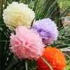 ECYC 5 Pcs 6 inch Tissue Pom Poms, Paper Pom Pom Decoration Tissue Flower Pompoms for Wedding Birthday Party Baby Shower Decoration,30 view 3