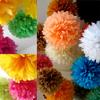 ECYC 5 Pcs 6 inch Tissue Pom Poms, Paper Pom Pom Decoration Tissue Flower Pompoms for Wedding Birthday Party Baby Shower Decoration,30 view 4