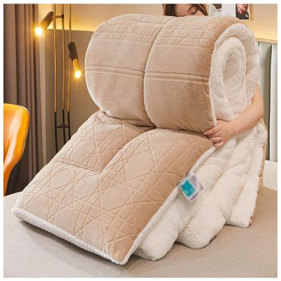 FDISDIFH Luxurious Faux Lamb Wool Quilt, Winter Blanket Breathable Warmth Bed Comforter, Double-Sided Velvet Quilt Thickened Autumn Spring Plush Comforter Core (Khaki 200x230cm(3kg))