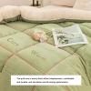 FDISDIFH Luxurious Faux Lamb Wool Quilt, Winter Blanket Breathable Warmth Bed Comforter, Double-Sided Velvet Quilt Thickened Autumn Spring Plush Comforter Core (Khaki 200x230cm(3kg)) view 4
