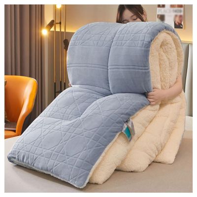 FDISDIFH Luxurious Faux Lamb Wool Quilt, Winter Blanket Breathable Warmth Bed Comforter, Double-Sided Velvet Quilt Thickened Autumn Spring Plush Comforter Core (Blue 150X200cm(2.5kg))