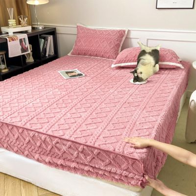 2024 New Flannel Velvet Bed Sheet Winter Super Soft Cosy Plush Shaggy Taffeta Elastic Fitted Sheet Solid Flannel Velvet Fleece Fluffy Fuzzy Warm Bedspread with 11'' Deep Pocket (Pink,Small Double)