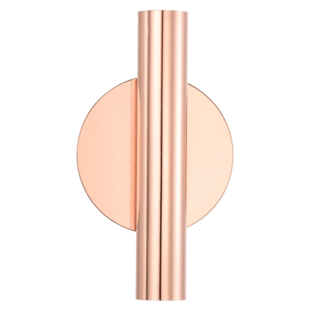 PATIKIL Wall-Mounted Metal Floral Tube Vase, Dried Flower Vase Rack for Display Decoration, Rose Gold
