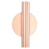 PATIKIL Wall-Mounted Metal Floral Tube Vase, Dried Flower Vase Rack for Display Decoration, Rose Gold view 1