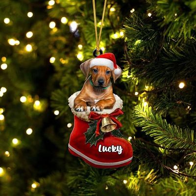 Personalized Rhodesian Ridgeback Ornament - Christmas Dog in Santa Boot