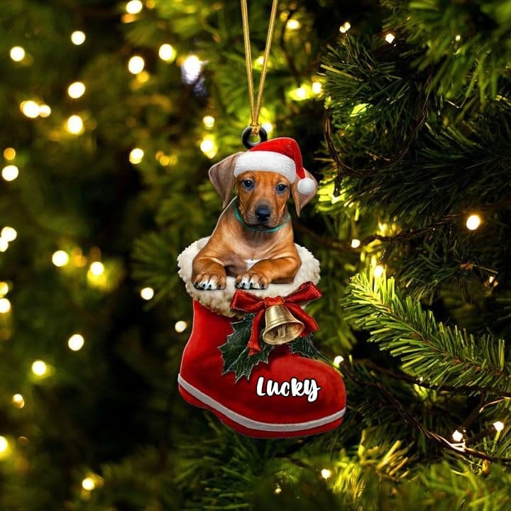 Personalized Rhodesian Ridgeback Ornament - Christmas Dog in Santa Boot