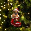 Personalized Rhodesian Ridgeback Ornament - Christmas Dog in Santa Boot view 1