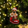 Personalized Rhodesian Ridgeback Ornament - Christmas Dog in Santa Boot view 2