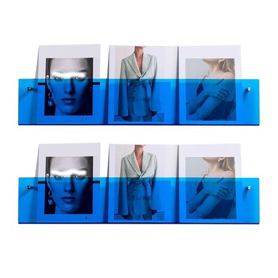 Large Small Magazine Reading Book Display Rack Shelf Wall Mount, Modern Clear Acrylic Hanging Bookshelf, Brochure Holder/ Record Stand, Home/ Office/ Reception Area ( Color : Blue , Size : 2 PACK_L 60