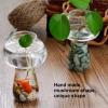 BFYDOAA Small Clear Glass Vase for Cuttings Buds Hydroponic, Mushroom Shape Flower Bottle Mini Fish Bowl for Home Aesthetics Decor view 2