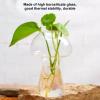 BFYDOAA Small Clear Glass Vase for Cuttings Buds Hydroponic, Mushroom Shape Flower Bottle Mini Fish Bowl for Home Aesthetics Decor view 4