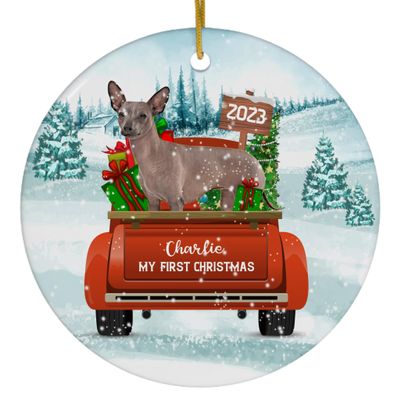 Winter Welcome Fawn Xoloitzcuintli Mexican Hairless Dog My First Christmas Ornaments 2025 Personalized Name Circle White Ceramic Puppy Owner Gifts