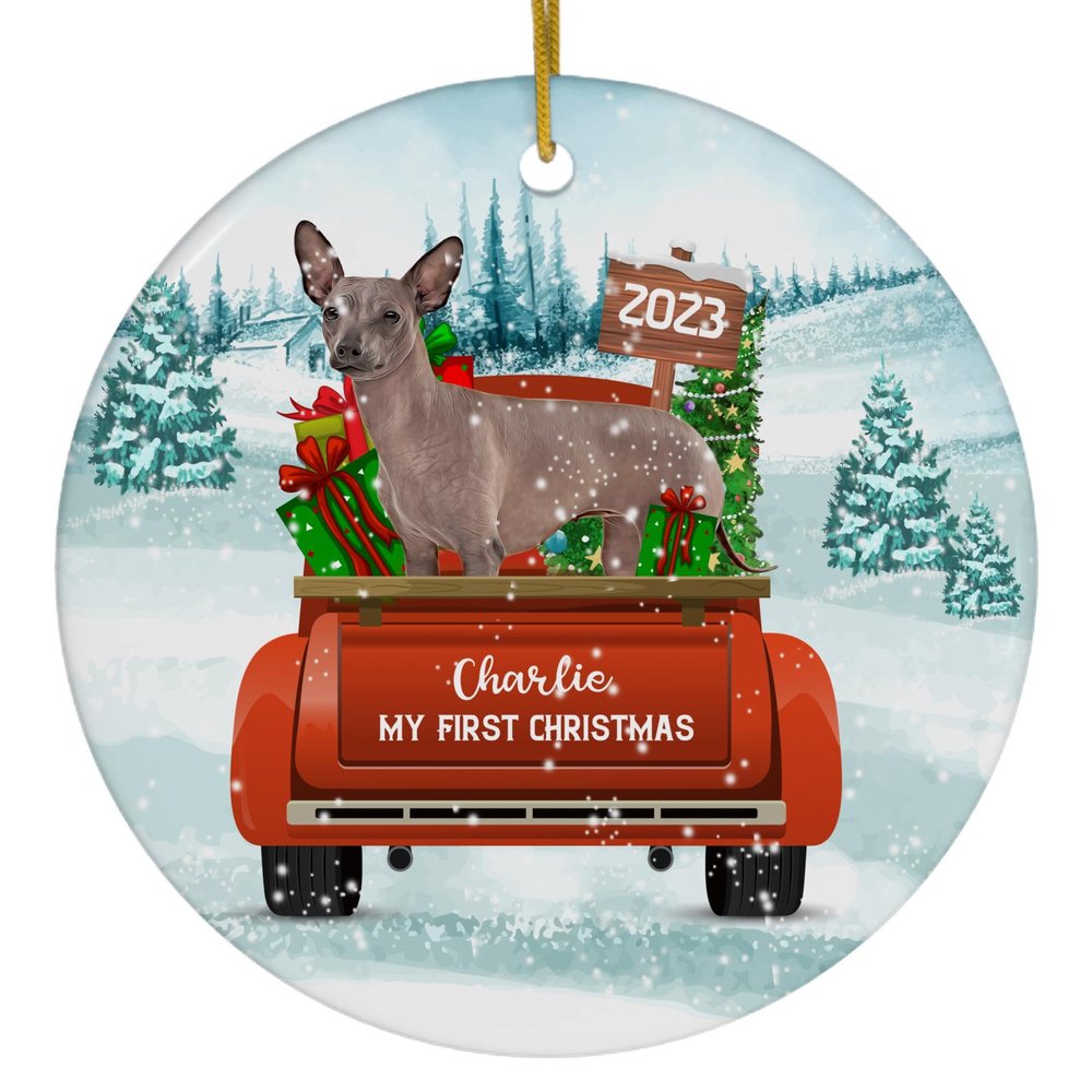 Winter Welcome Fawn Xoloitzcuintli Mexican Hairless Dog My First Christmas Ornaments 2025 Personalized Name Circle White Ceramic Puppy Owner Gifts