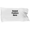 EzGift Funny Bowed Psaltery Hero Pillowcase Musician Gift Instrument Player Gag Pillow Cover Case 20x30 view 1