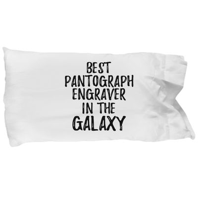 Best Pantograph Engraver in The Galaxy Pillowcase Funny Sci-fi Lover Gift Geek Coworker Present Pillow Cover Case 20x30